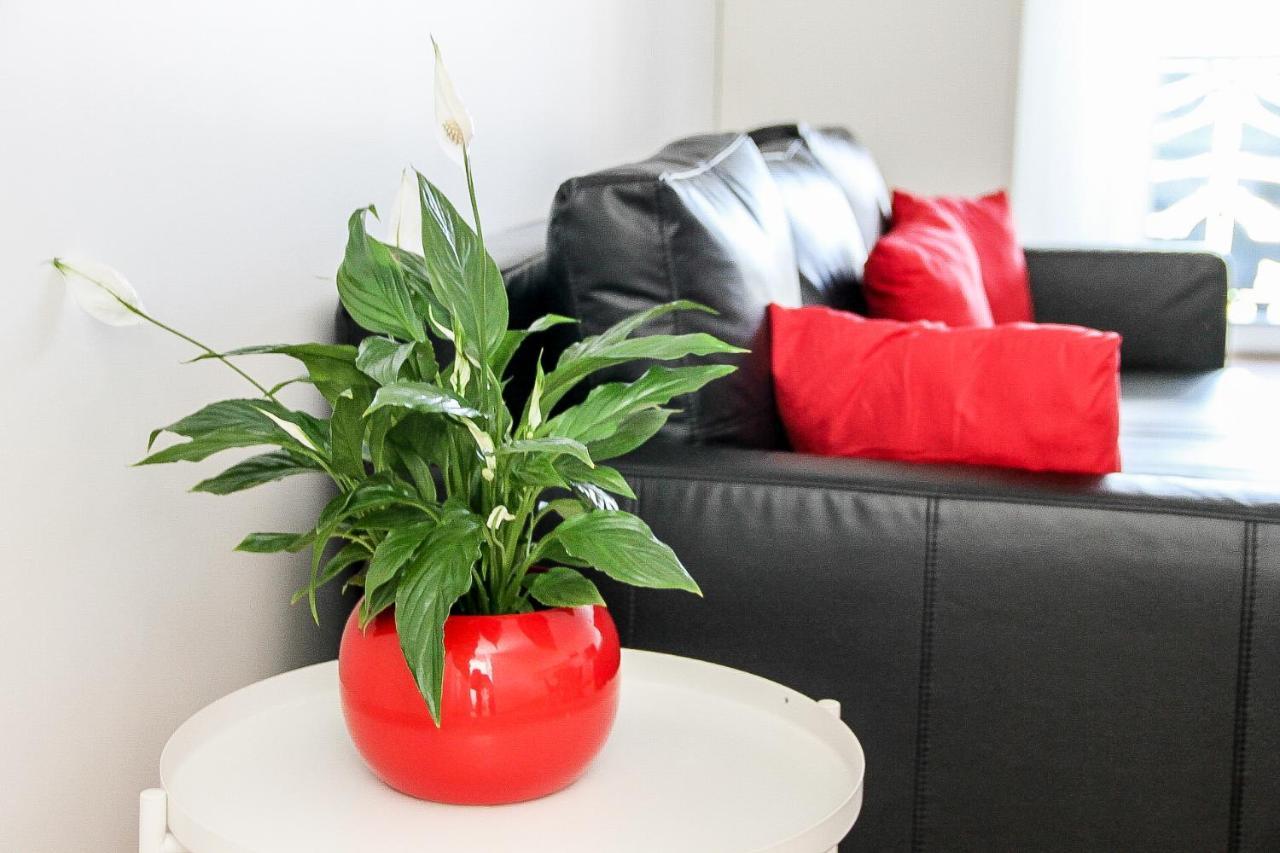Grand T1 Moderne Jardin Pres De Cdg Daire Le Thillay Dış mekan fotoğraf